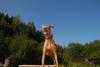 2009-09-20_ntb_8275