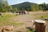2009-09-20_ntb_8282