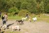 2009-09-20_ntb_8286
