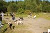 2009-09-20_ntb_8287