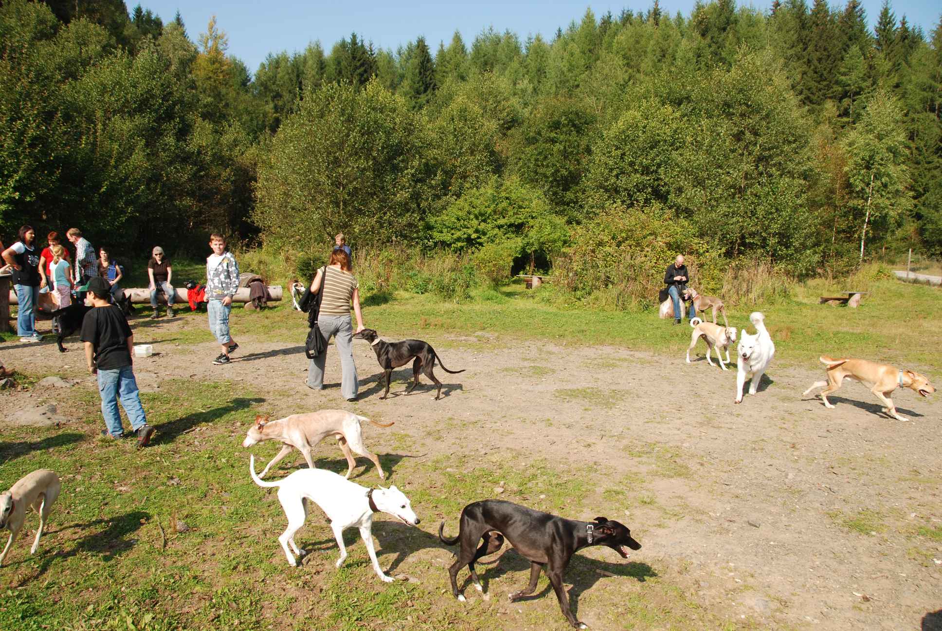 2009-09-20_ntb_8288