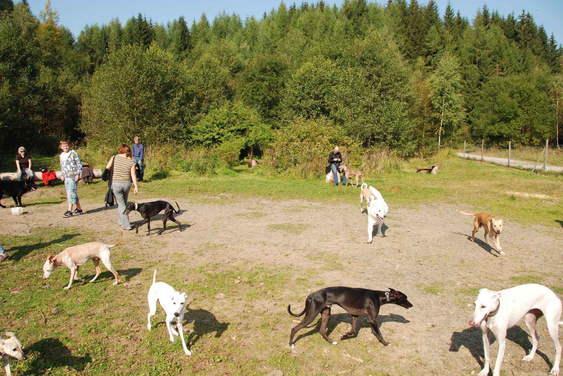 2009-09-20_ntb_8289