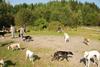 2009-09-20_ntb_8289