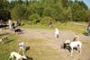 2009-09-20_ntb_8290