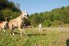 2009-09-20_ntb_8296
