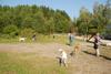 2009-09-20_ntb_8297