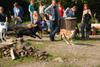 2009-09-20_ntb_8300