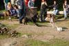 2009-09-20_ntb_8301