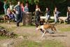 2009-09-20_ntb_8302