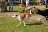 2009-09-20_ntb_8303