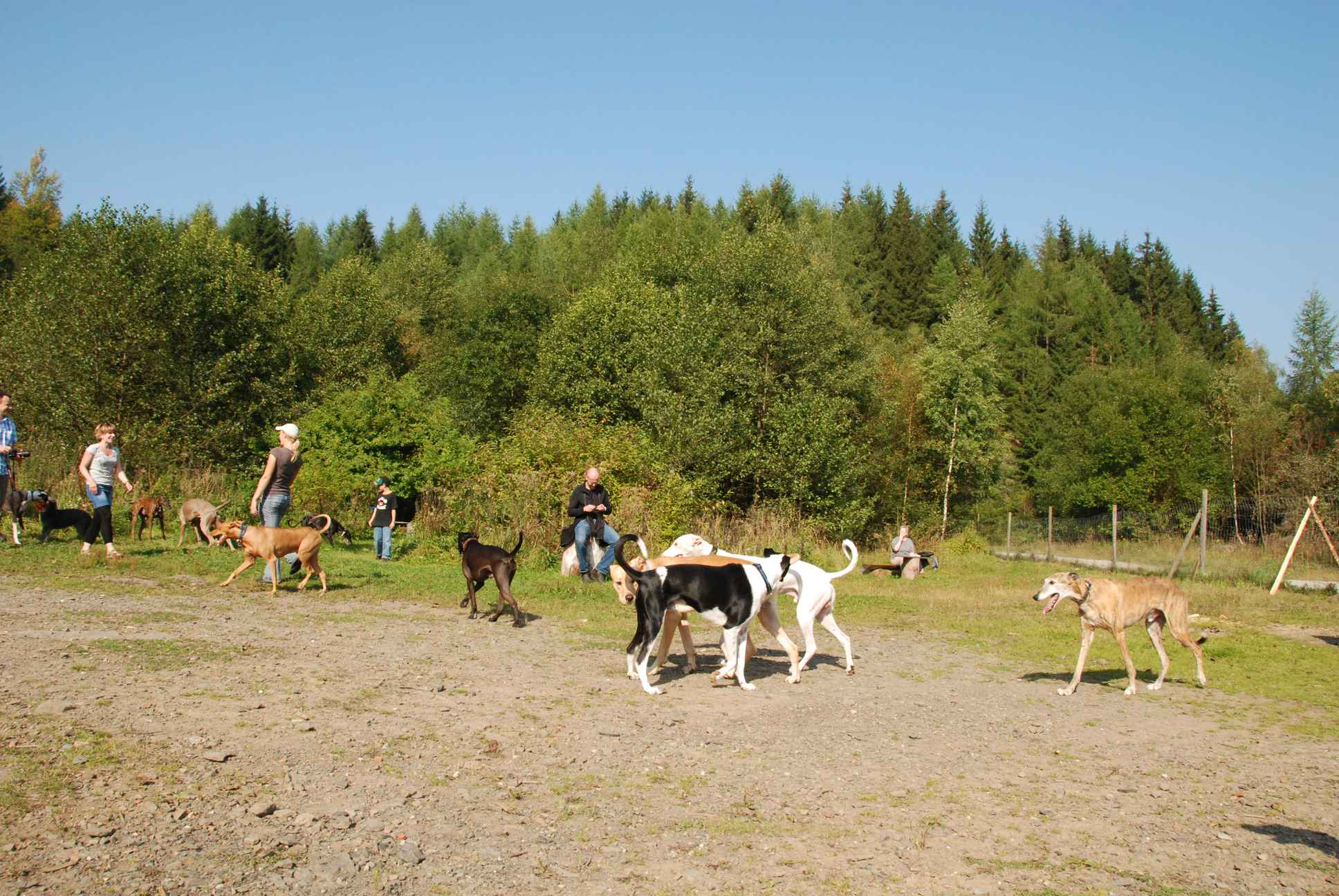 2009-09-20_ntb_8317