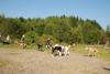 2009-09-20_ntb_8317