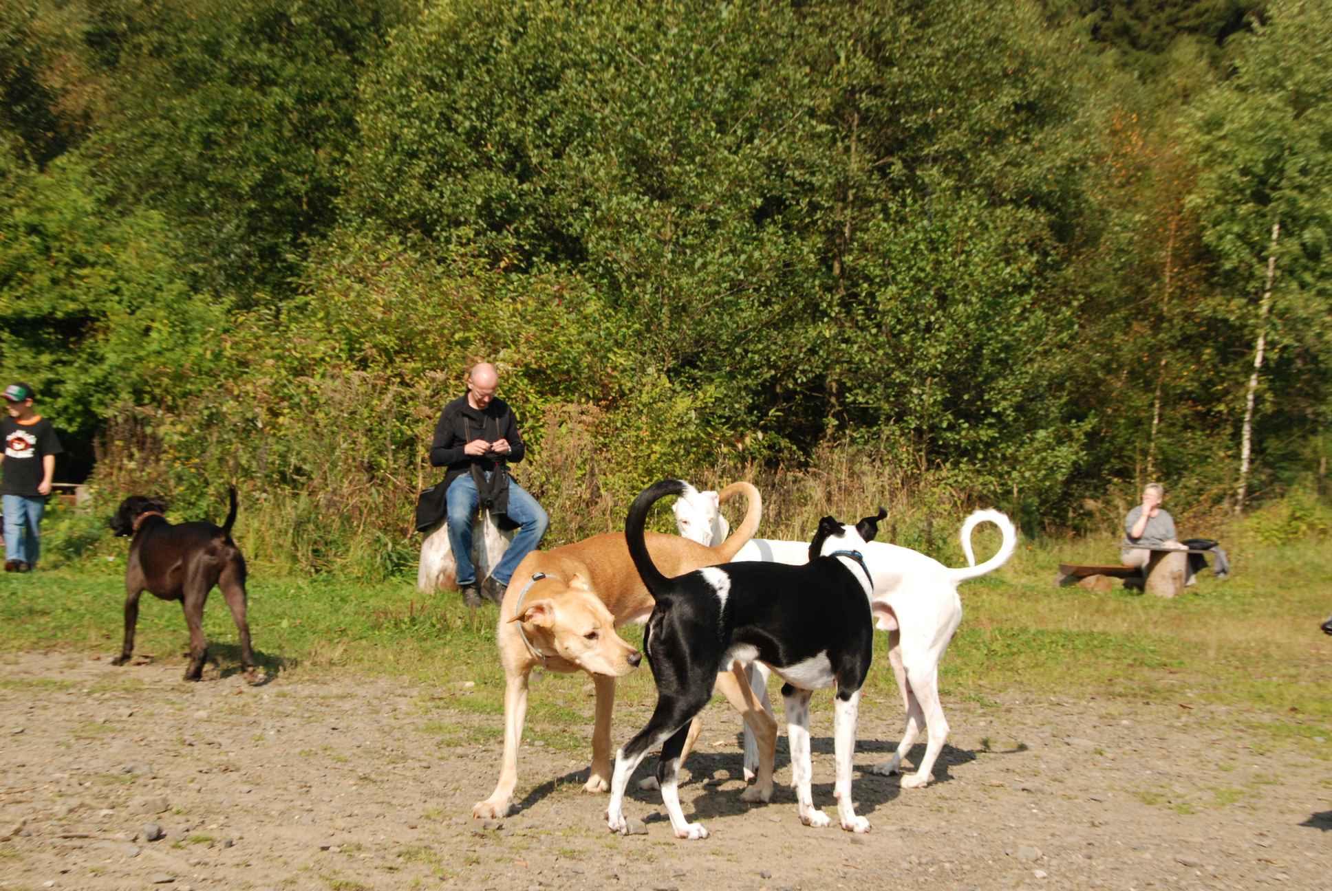 2009-09-20_ntb_8318