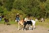 2009-09-20_ntb_8318