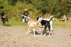 2009-09-20_ntb_8319