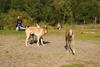 2009-09-20_ntb_8320