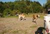 2009-09-20_ntb_8321