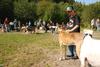 2009-09-20_ntb_8324