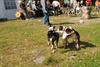 2009-09-20_ntb_8328