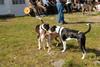 2009-09-20_ntb_8329