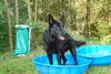 2009-09-20_ntb_8334