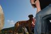 2009-09-20_ntb_8337