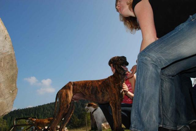 2009-09-20_ntb_8337