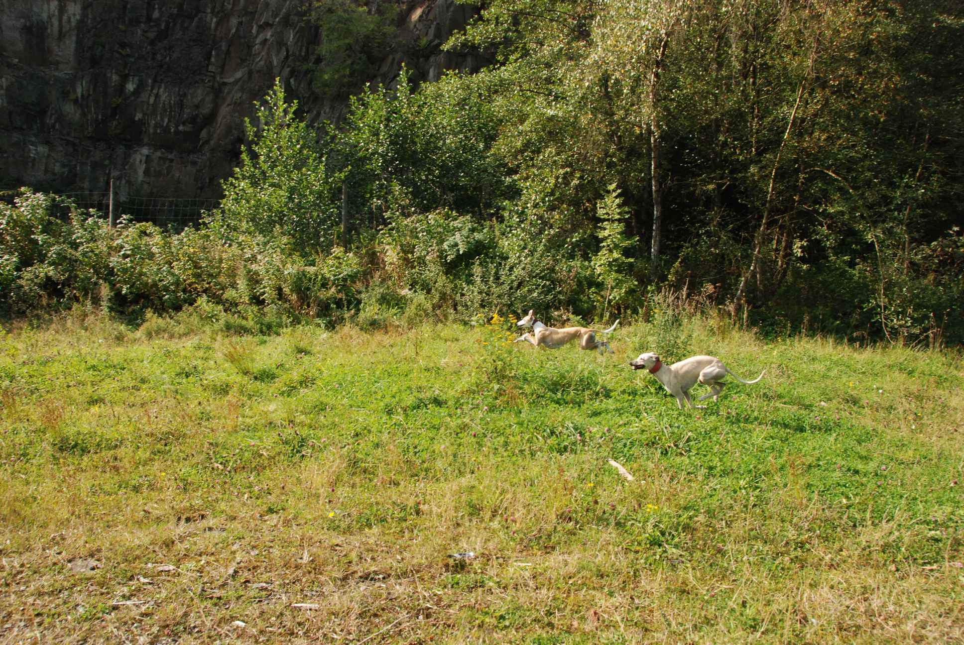 2009-09-20_ntb_8347