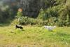 2009-09-20_ntb_8348