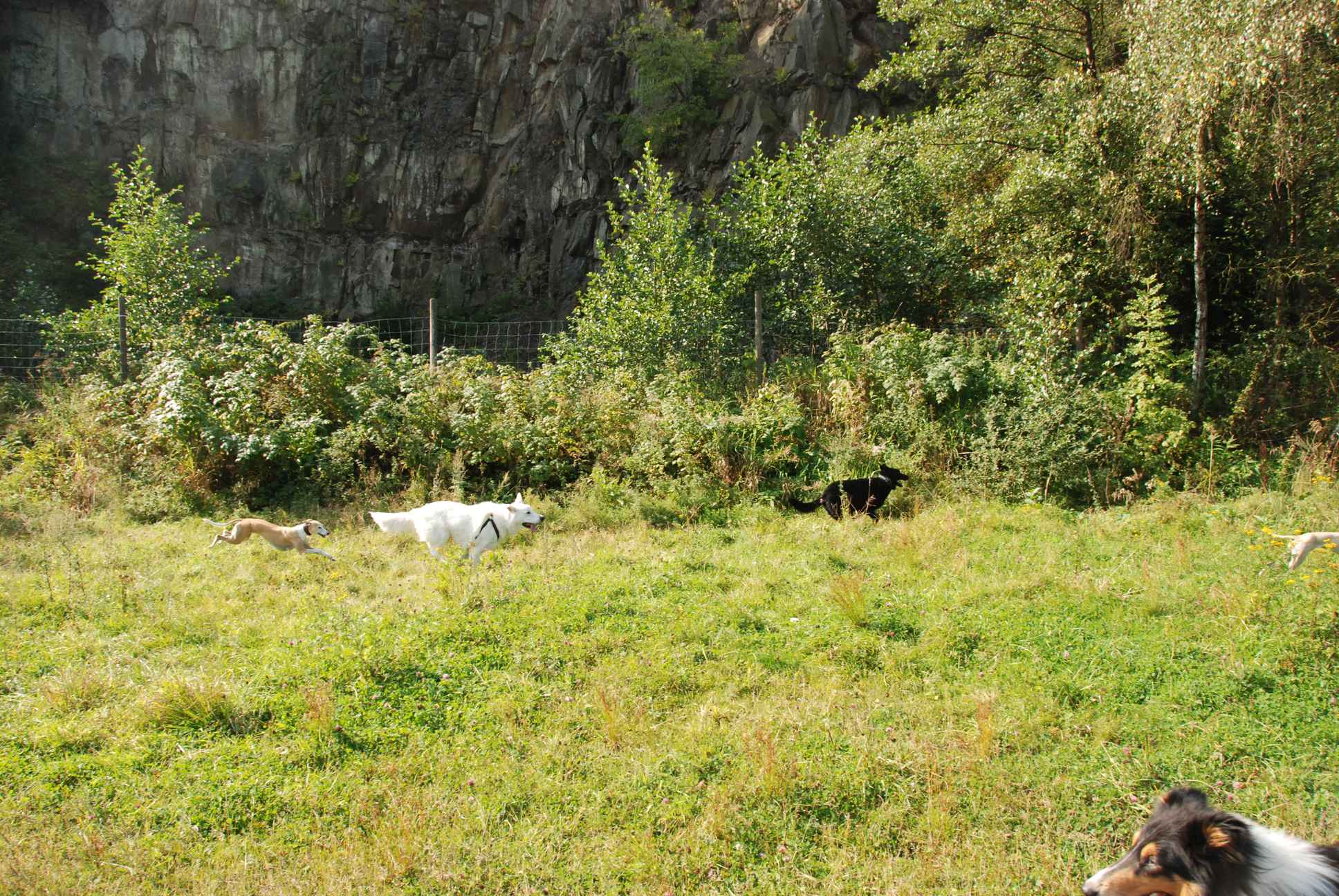 2009-09-20_ntb_8349