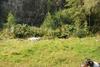 2009-09-20_ntb_8349