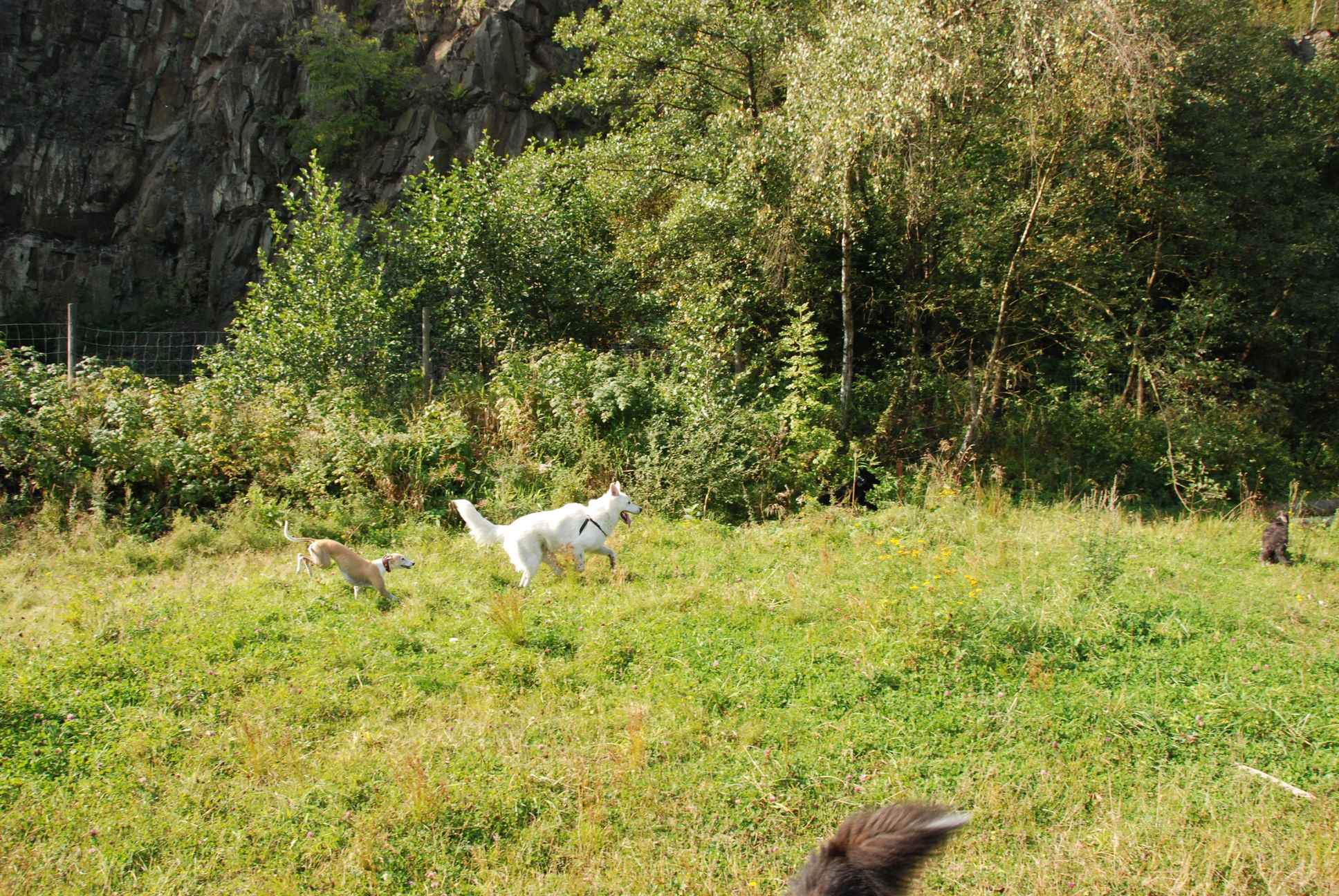 2009-09-20_ntb_8350