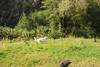 2009-09-20_ntb_8350