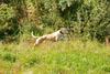 2009-09-20_ntb_8351