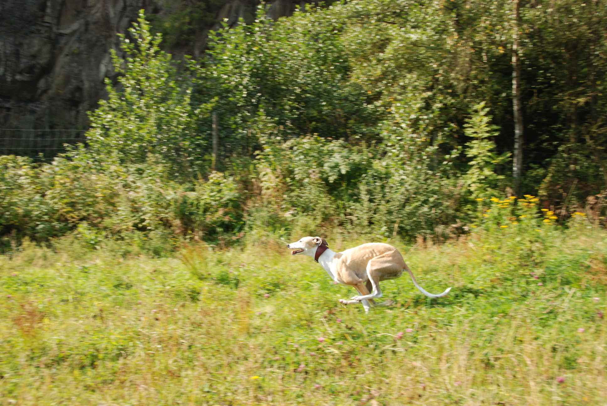 2009-09-20_ntb_8352
