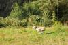 2009-09-20_ntb_8352
