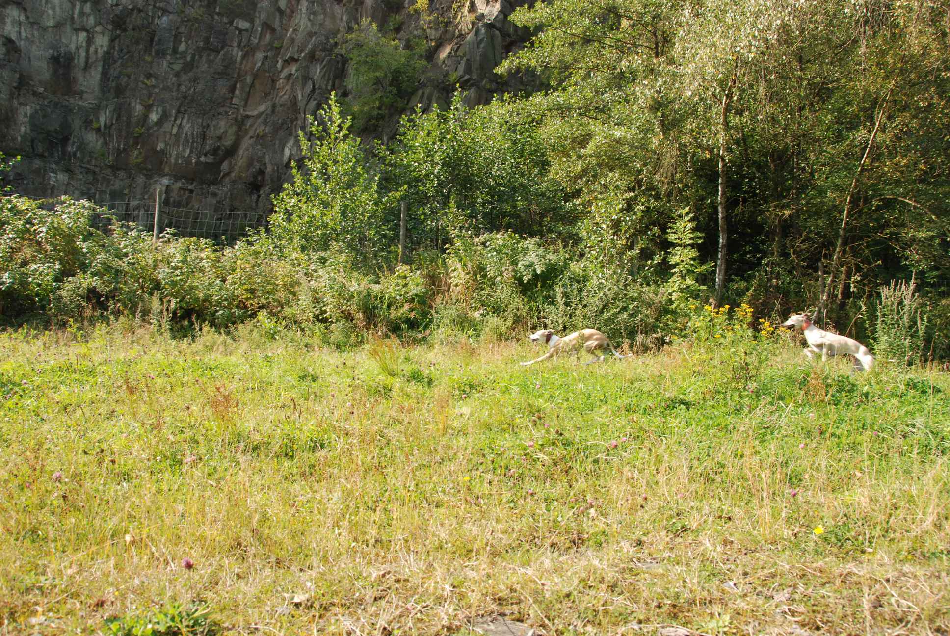 2009-09-20_ntb_8353