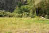 2009-09-20_ntb_8353