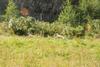 2009-09-20_ntb_8354