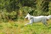 2009-09-20_ntb_8355