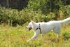 2009-09-20_ntb_8356