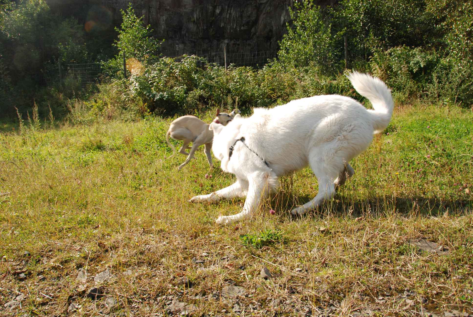 2009-09-20_ntb_8357