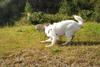 2009-09-20_ntb_8357
