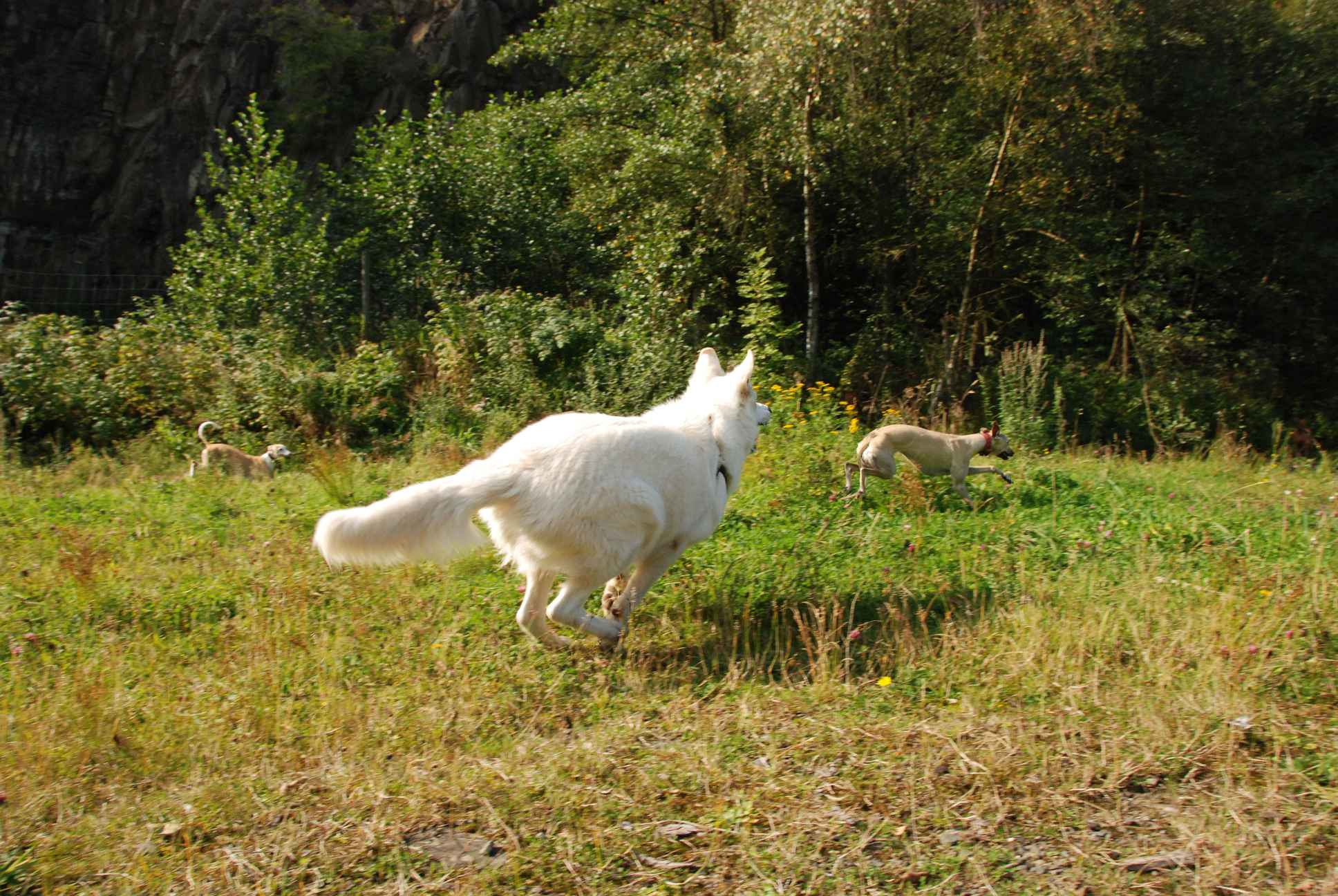 2009-09-20_ntb_8358