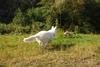 2009-09-20_ntb_8358