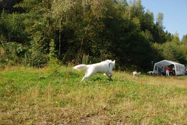 2009-09-20_ntb_8359