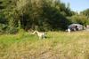 2009-09-20_ntb_8360