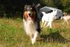 2009-09-20_ntb_8361
