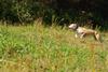 2009-09-20_ntb_8362