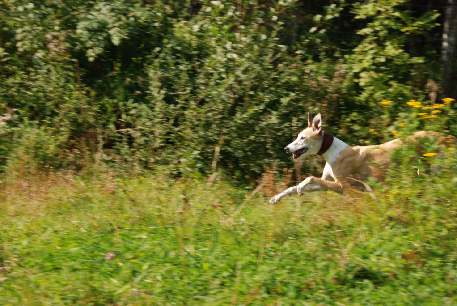 2009-09-20_ntb_8363